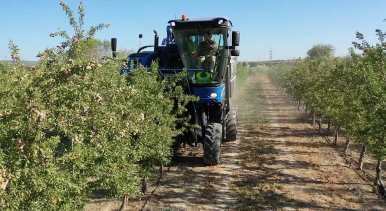 Abono de leonardita para almendro
